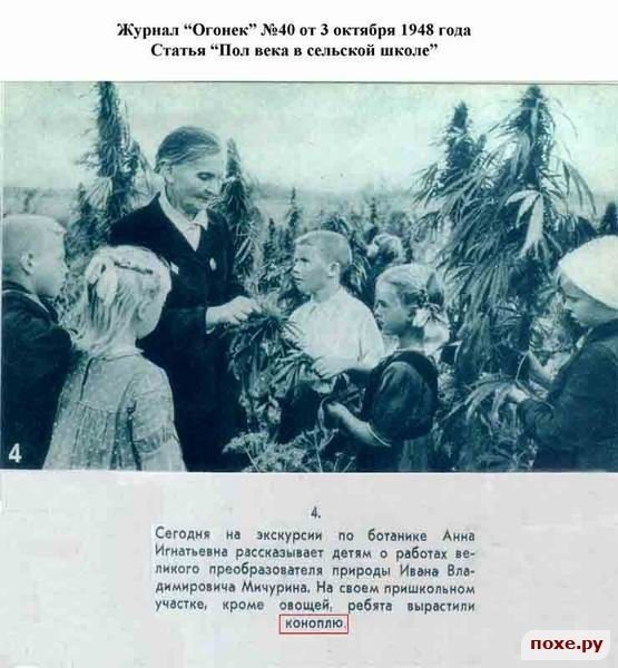 Pavel Kotov | Курчатов