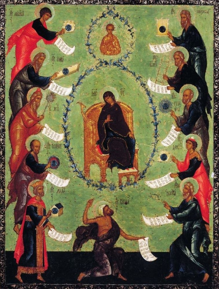 Ярослава Тарто | Запорожье