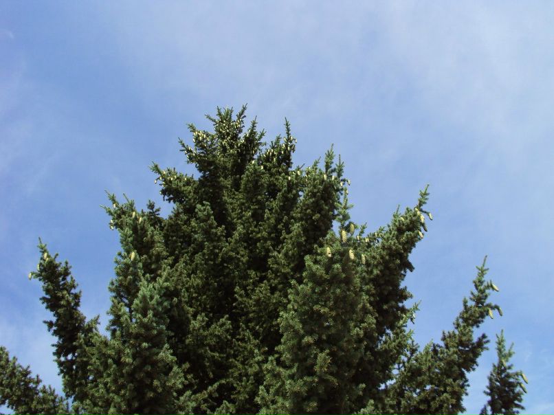 Стас Грабарев | Новокузнецк