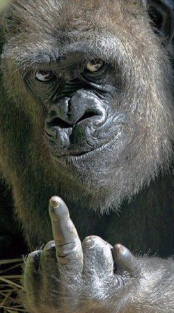 Юра Березюк | Брест