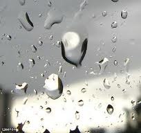 Оксана Берилкова | Киев