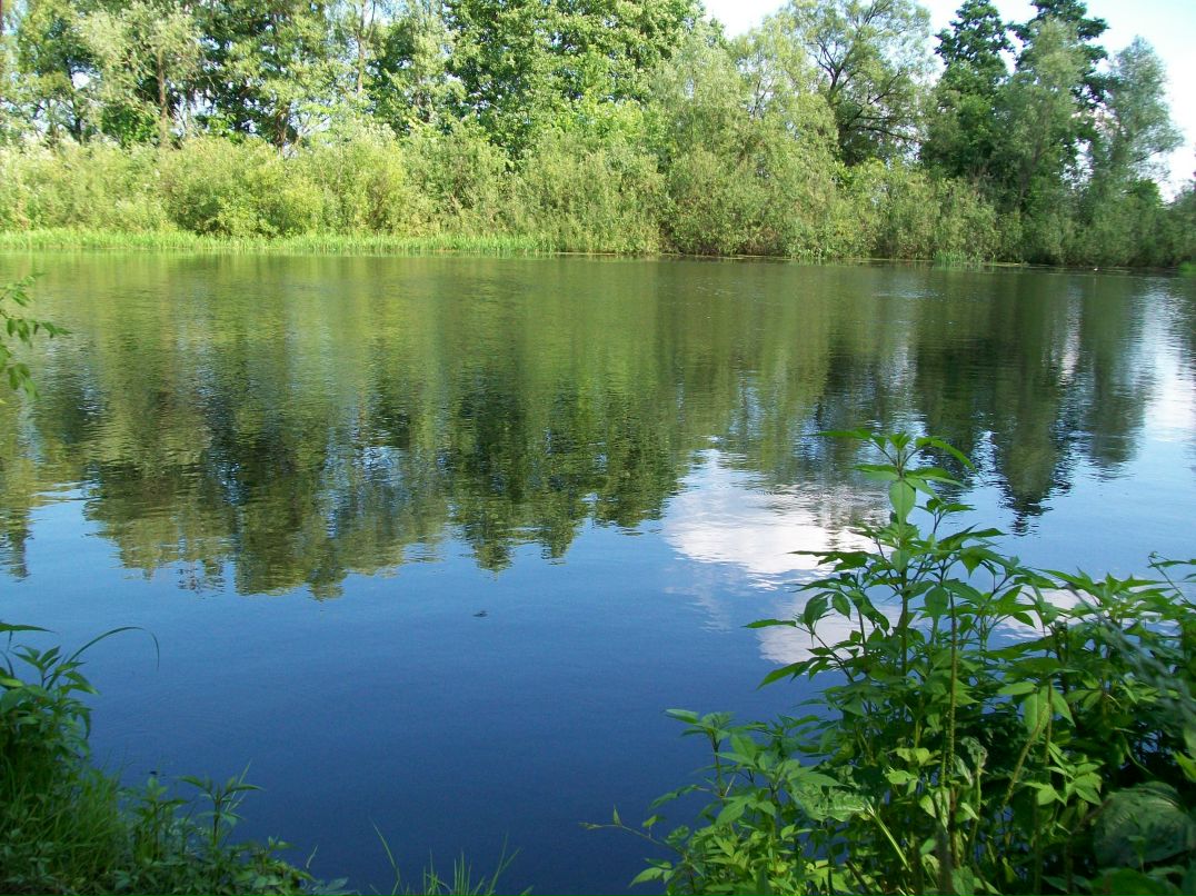 Светлана Ковалёва | Одесса