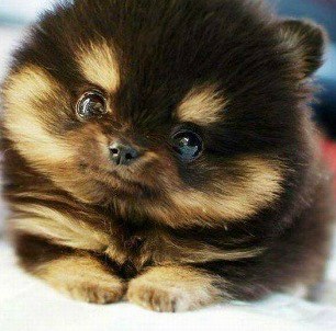 Катерина Леонова | Иркутск