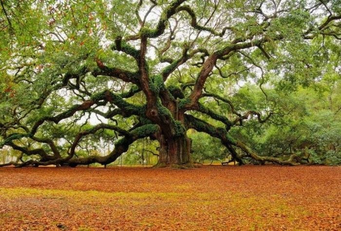 Ксюша Шагайко | Киев