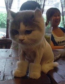 №16, Roman Zudin, Нижний Новгород №16, Roman Zudin, Нижний Новгород