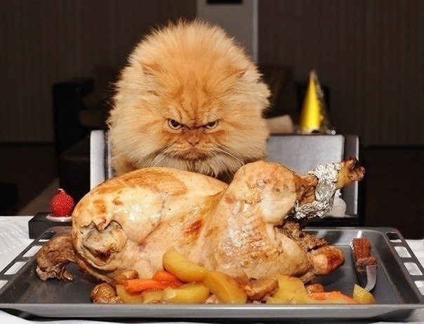 Семен Серотюк | Пенза