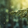 Аватар: Наталия Попова