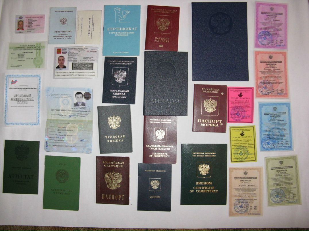 Дмитрий Донушкин | Санкт-Петербург