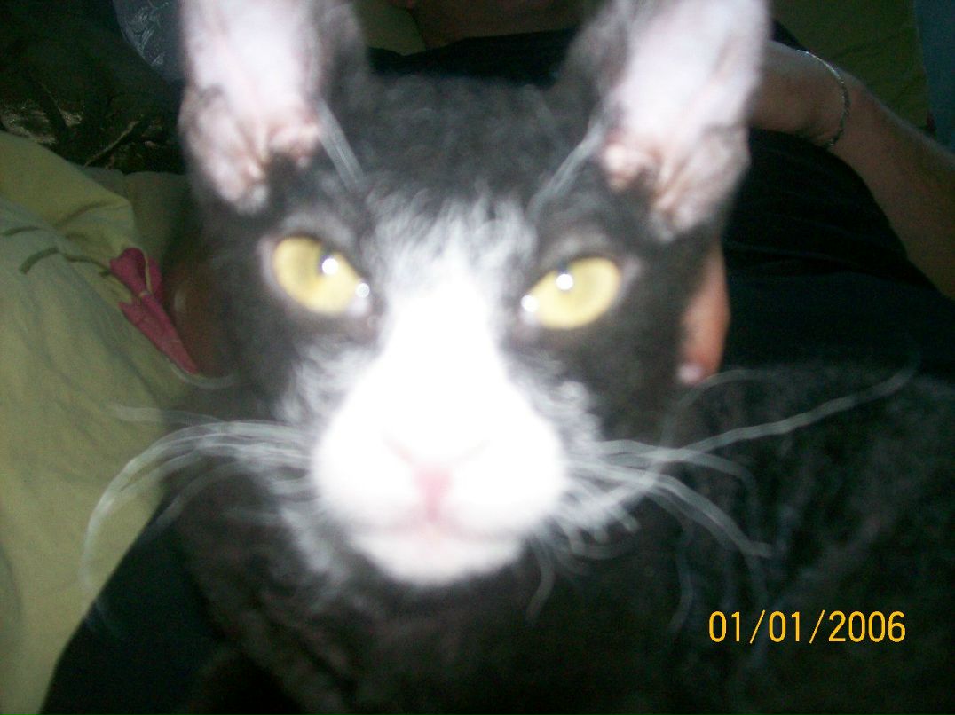 Александра Крепкая ˜”*°• ⎛★ ⎝⏜⏝ ⏜⎠★⎞ .•°*”˜ | Киев