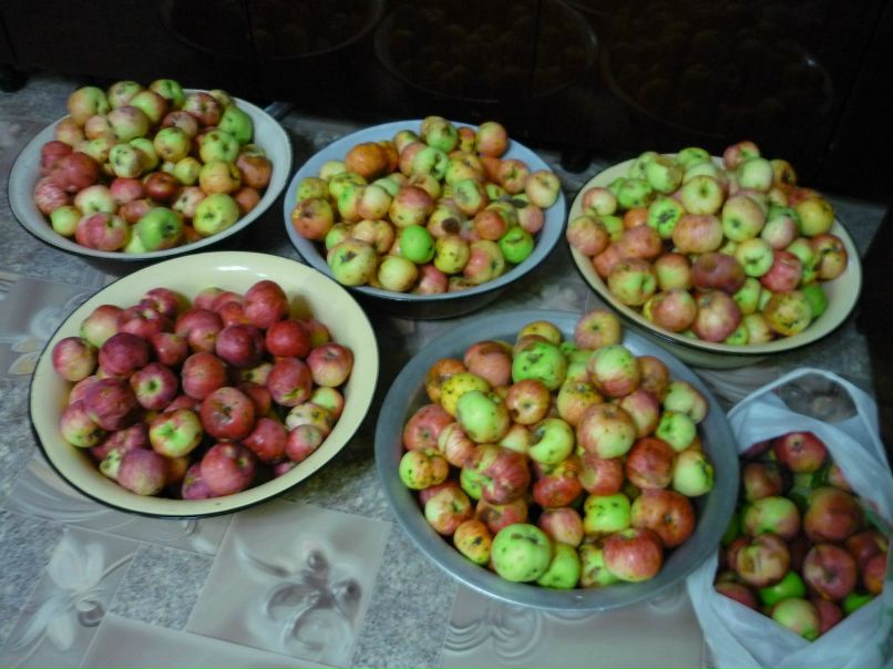 Людмила Казакова | 