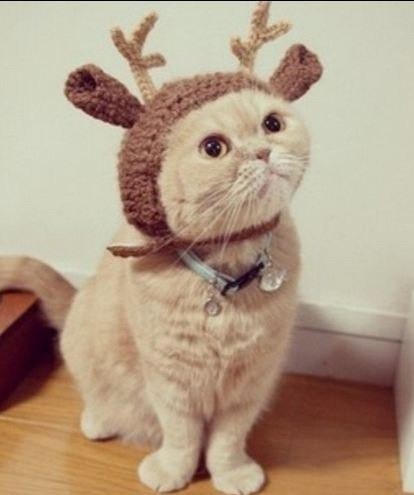 Леночка Максимова | Саратов