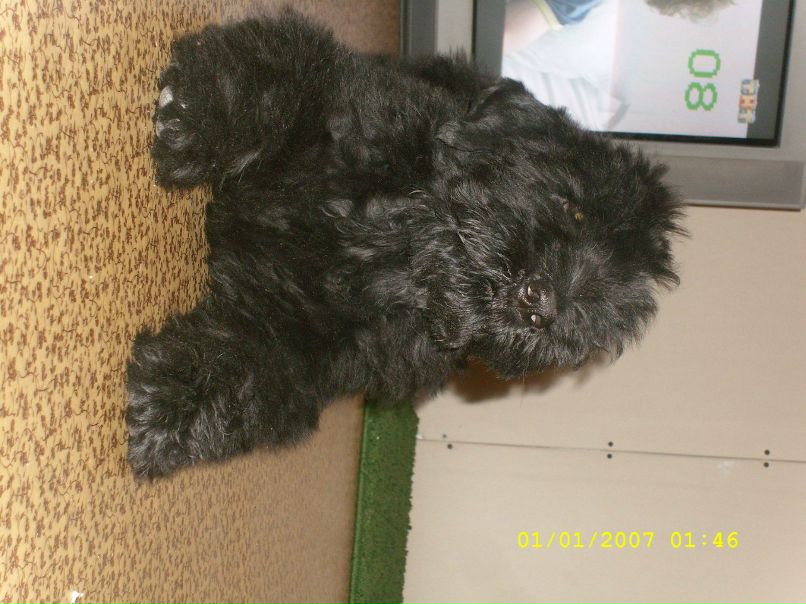 Катерина Колисниченко | Москва