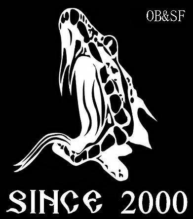 Михаил Юрич | Санкт-Петербург