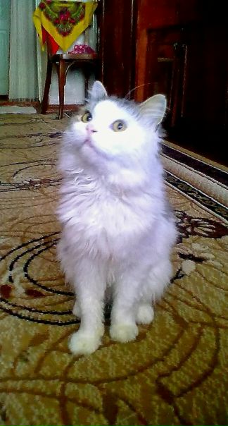 №96, Андрей, 106 лет, Вознесенск №96, Андрей, 106 лет, Вознесенск