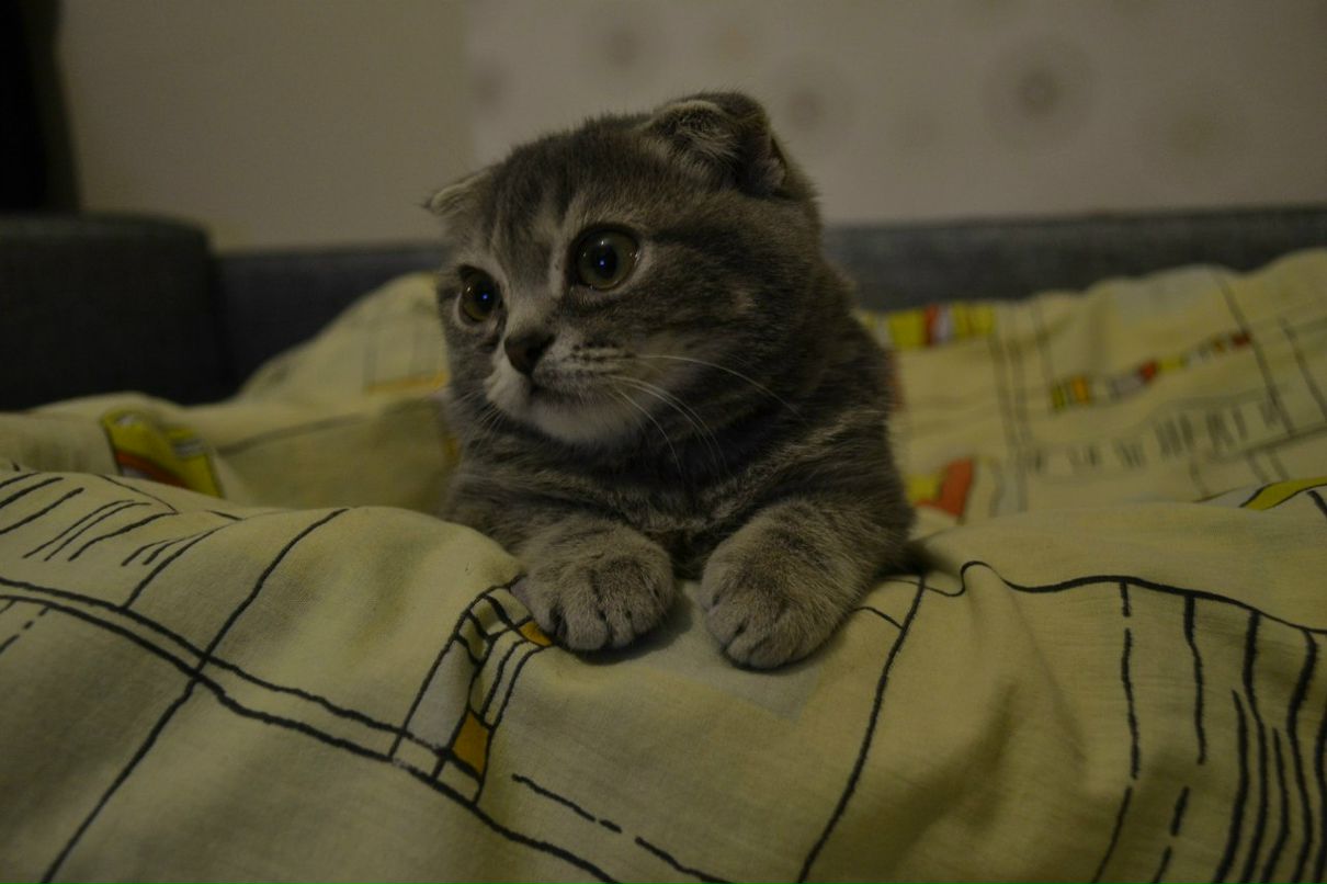 Маша Басова | Екатеринбург