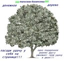 Фотография Петухова Александра