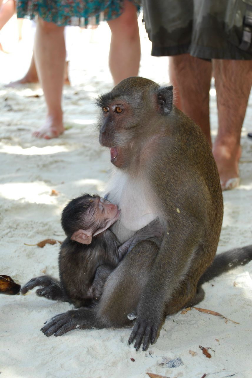 Алина Мелоневич | Кострома
