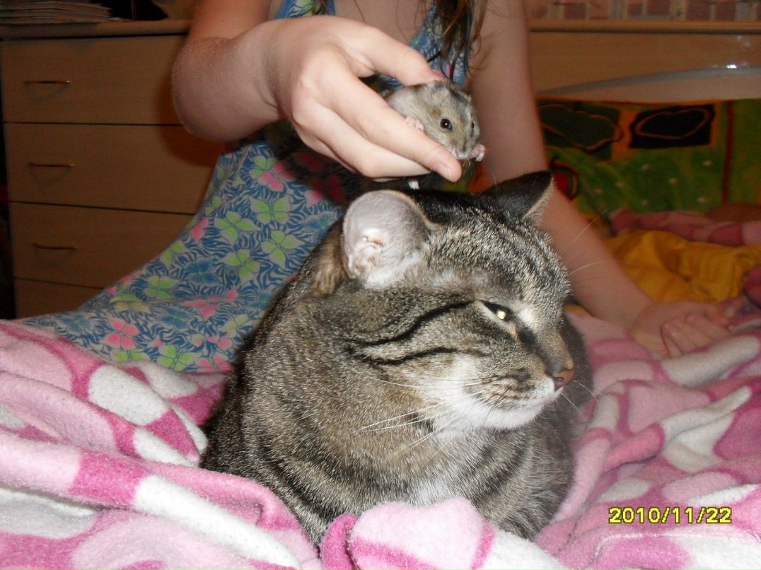 Виктор Шорин | Инта