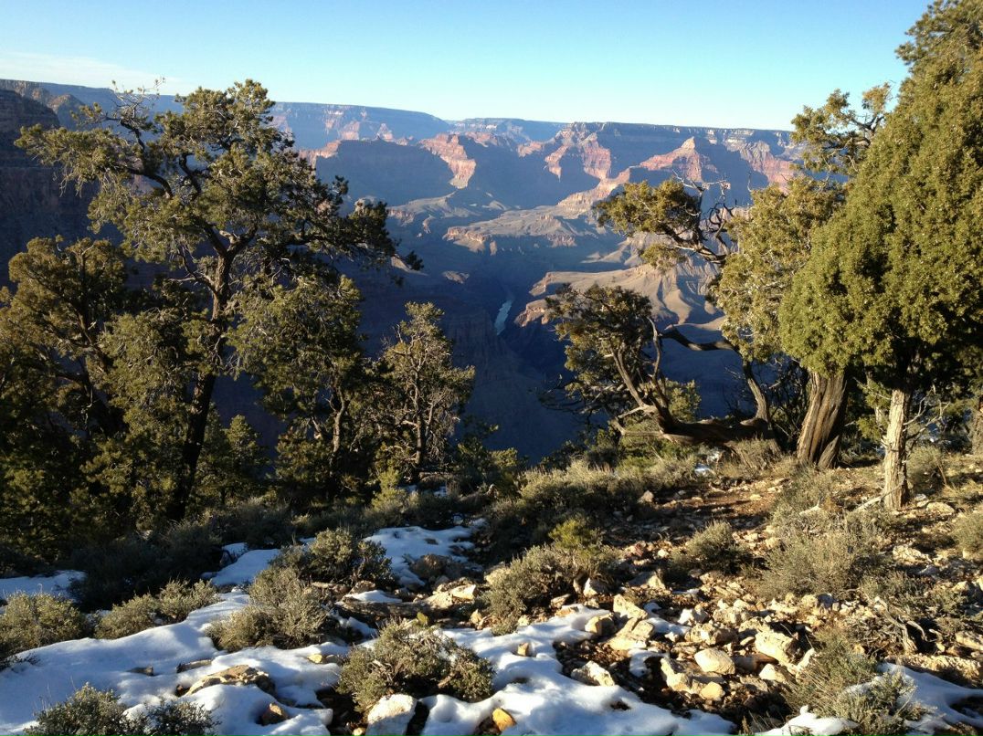 Анастасия Бурковская | Sydney