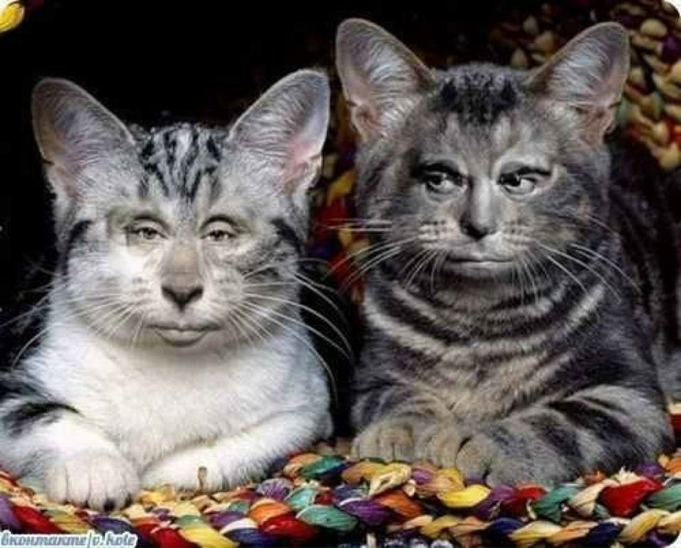 Дэвид Ройзенгурт | Москва