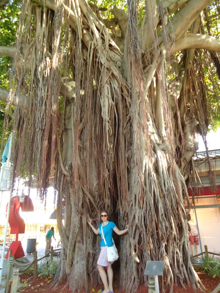 Софья Шуваева | Санкт-Петербург