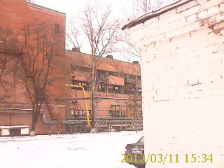 Дима Кваша | Брянск