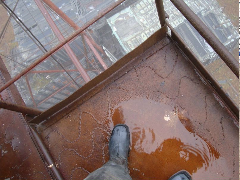 Денис Шергин Kaktuz | Санкт-Петербург