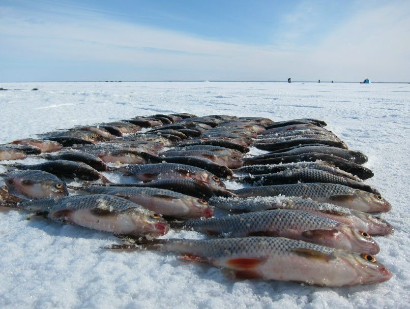 Алексей Авцин | Кириши
