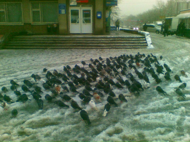 №42, Илья Игнатов №42, Илья Игнатов