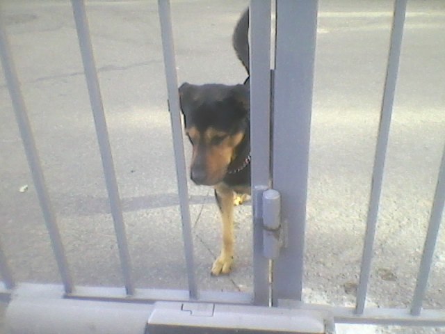 Сергей Прокофьев | 