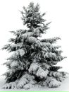 №21 Светлана Шпортенко 22.12.1985: профиль, фото, статус - ВКонтакте