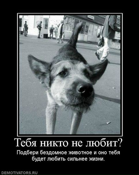 №186, Маффуля Sweet, 34 года, Мелитополь №186, Маффуля Sweet, 34 года, Мелитополь