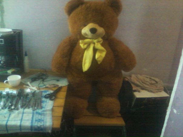 №68, Дашуня Поникарчик, 35 лет, Покров / Орджоникидзе №68, Дашуня Поникарчик, 35 лет, Покров / Орджоникидзе