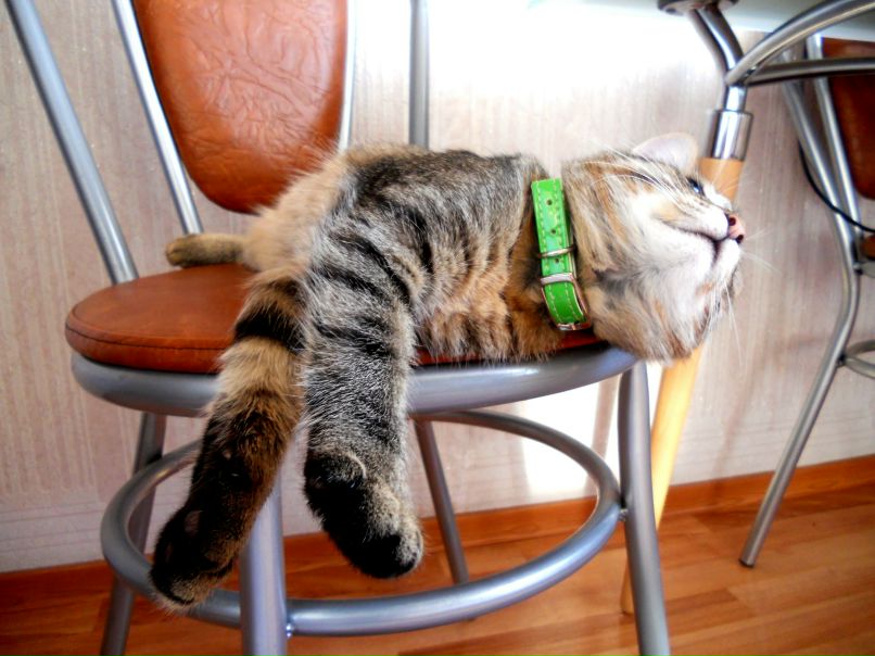 Оксана Герасимова | Москва