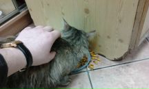 №2, Николай Голубев, 29.11.1986, 39 лет, Санкт-Петербург, Россия №2, Николай Голубев, 29.11.1986, 39 лет, Санкт-Петербург, Россия