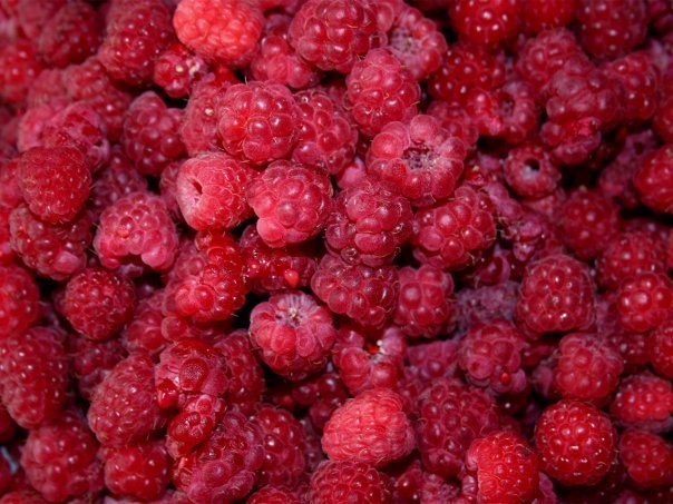 Анастасия Никулина | Краснодар