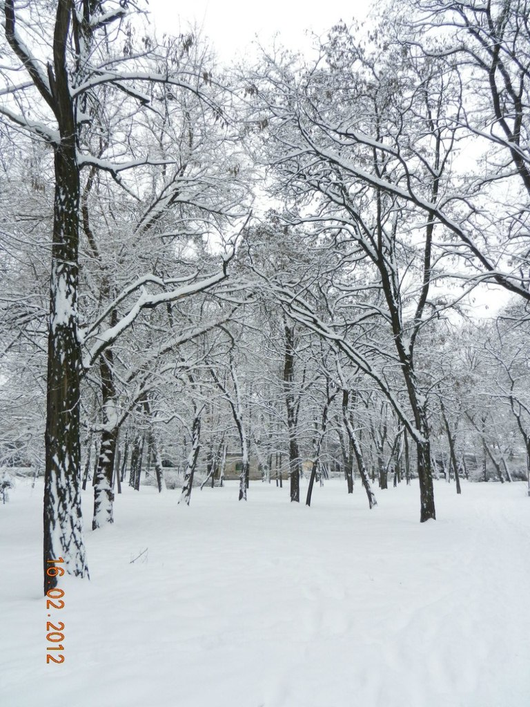 Юрий Малина | Луганск