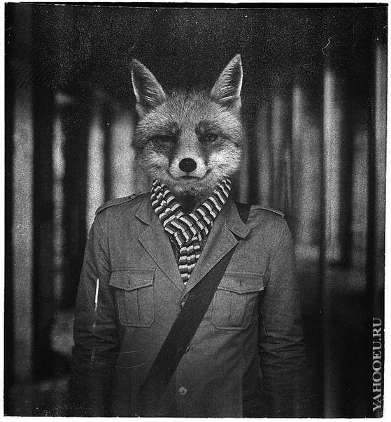 Алиса Луна | Санкт-Петербург