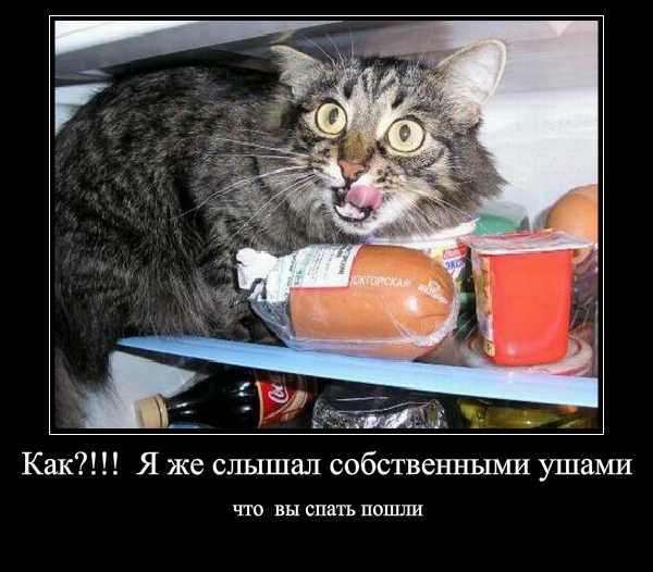 №23, Татьяна Шалунова, Ромоданово №23, Татьяна Шалунова, Ромоданово