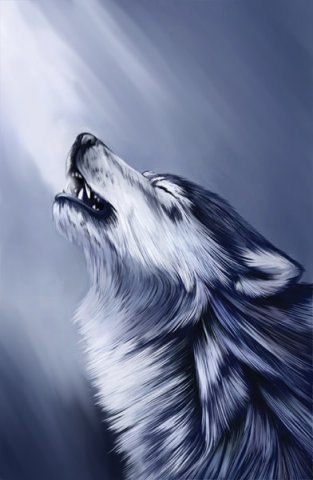 Стас Стасов | Новосибирск