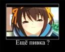Фотография Александр Мяло