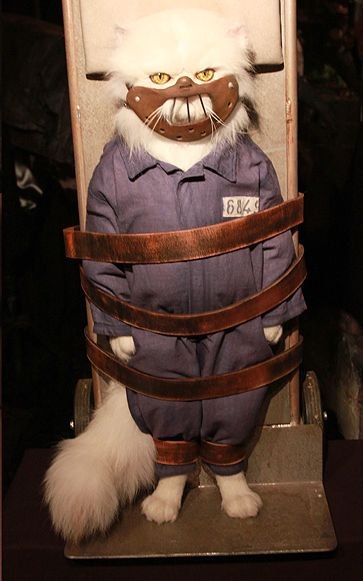 Эдмунд Сикорски | 