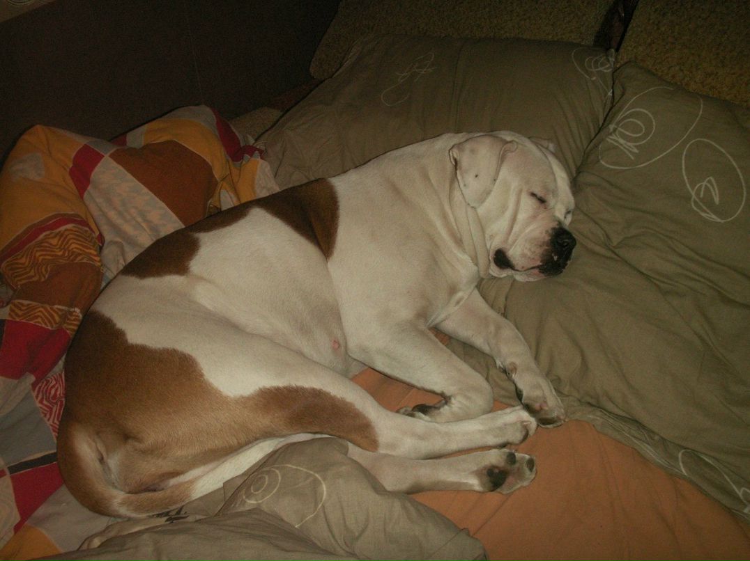 Артур Сулейманов | Санкт-Петербург