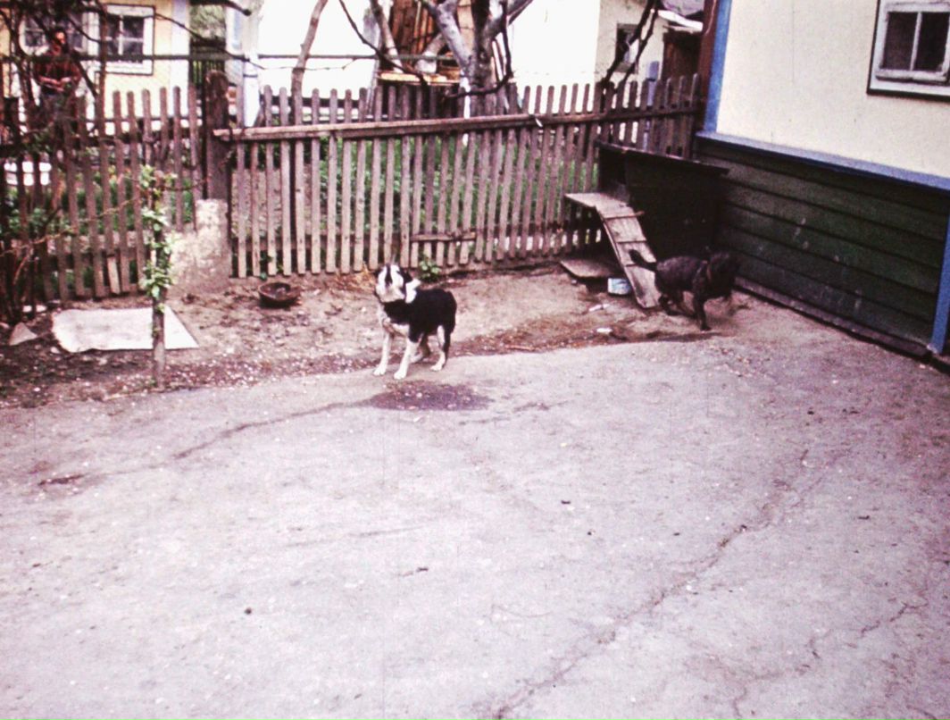 Славик Тарасюк | Черновцы