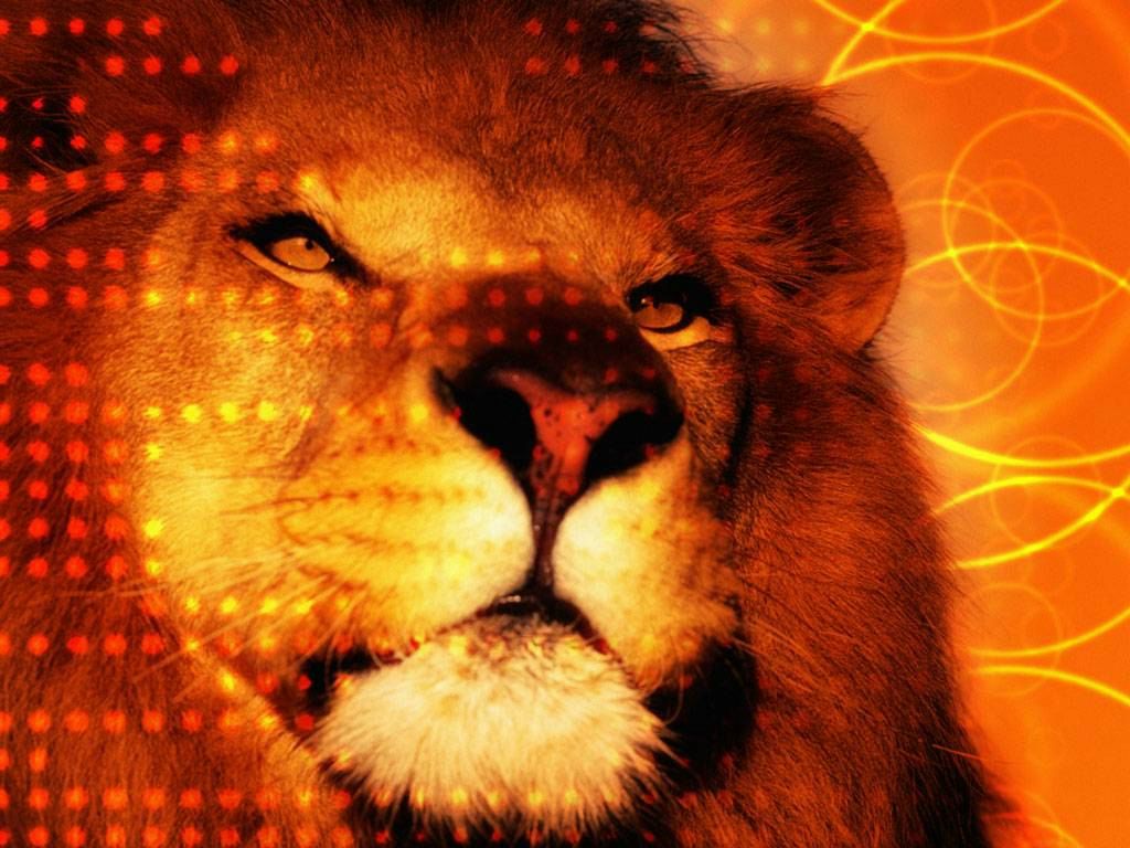 Алёна Владимирова | Саратов