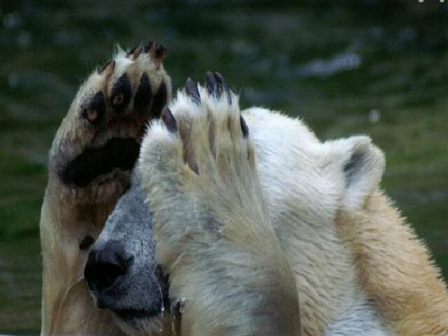 Сергей Ветров Юрьевич | Philadelphia