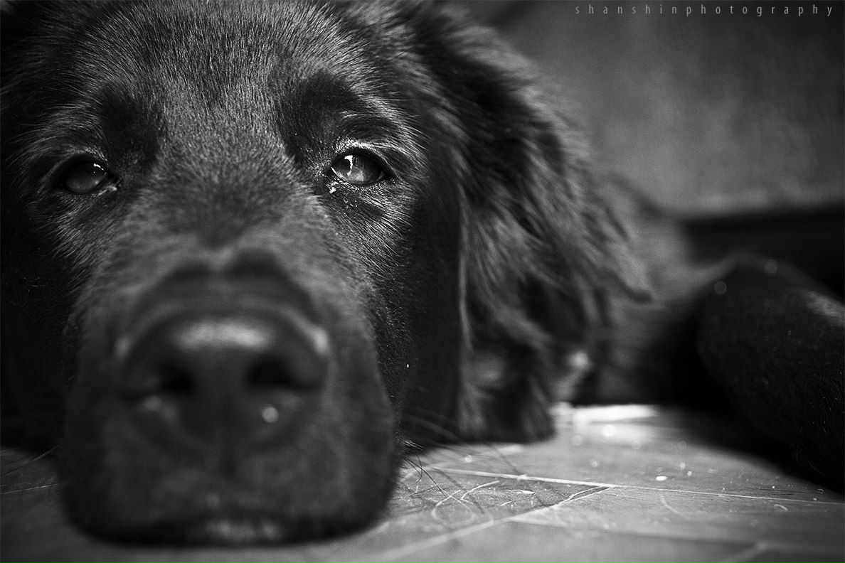 Света Щёголева | Череповец