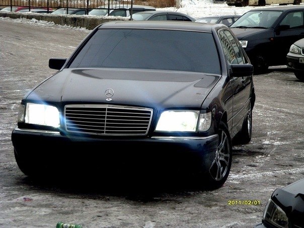 Денис Mustangovich | Новосибирск