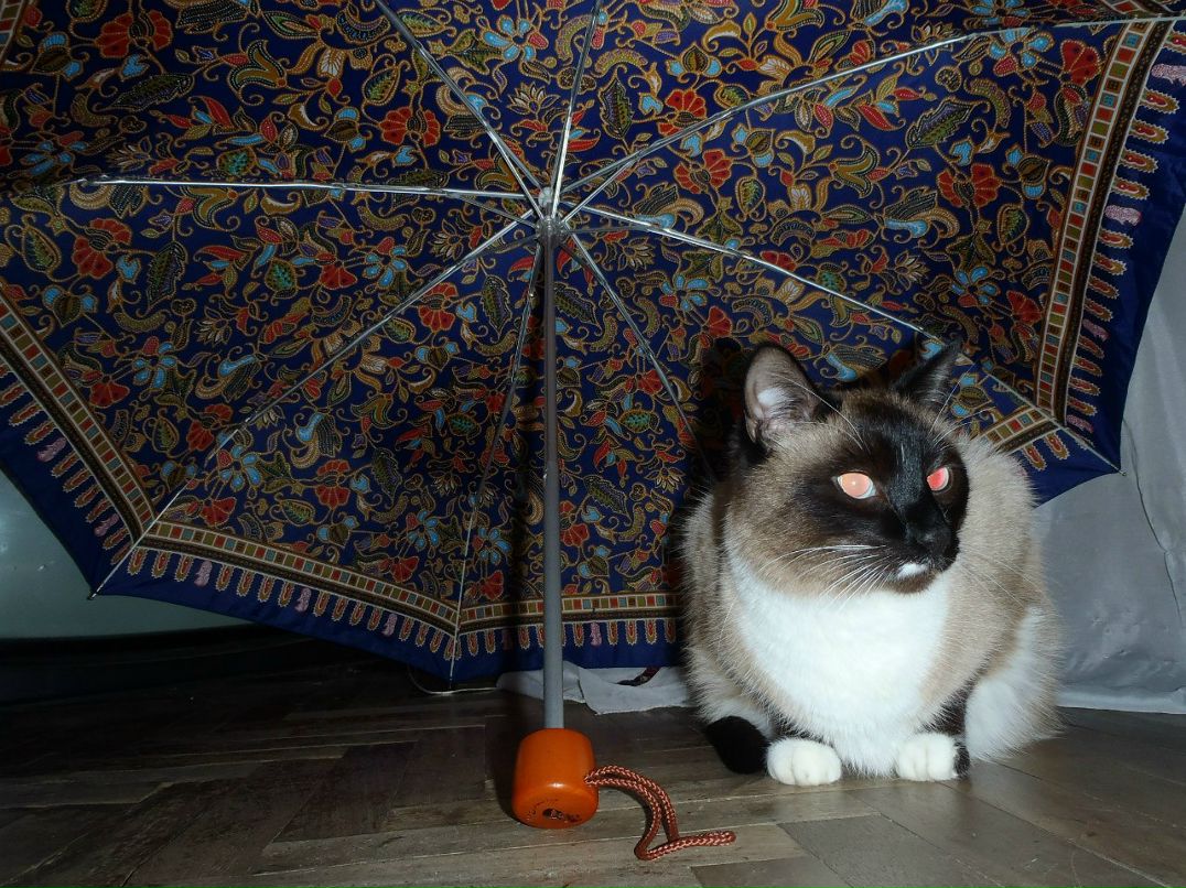 Елена Бочкарева | Пятигорск