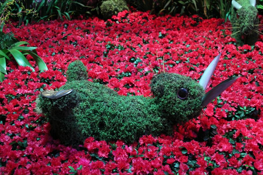 №47, Alevtyna Korolyova, 36 лет, Николаев №47, Alevtyna Korolyova, 36 лет, Николаев